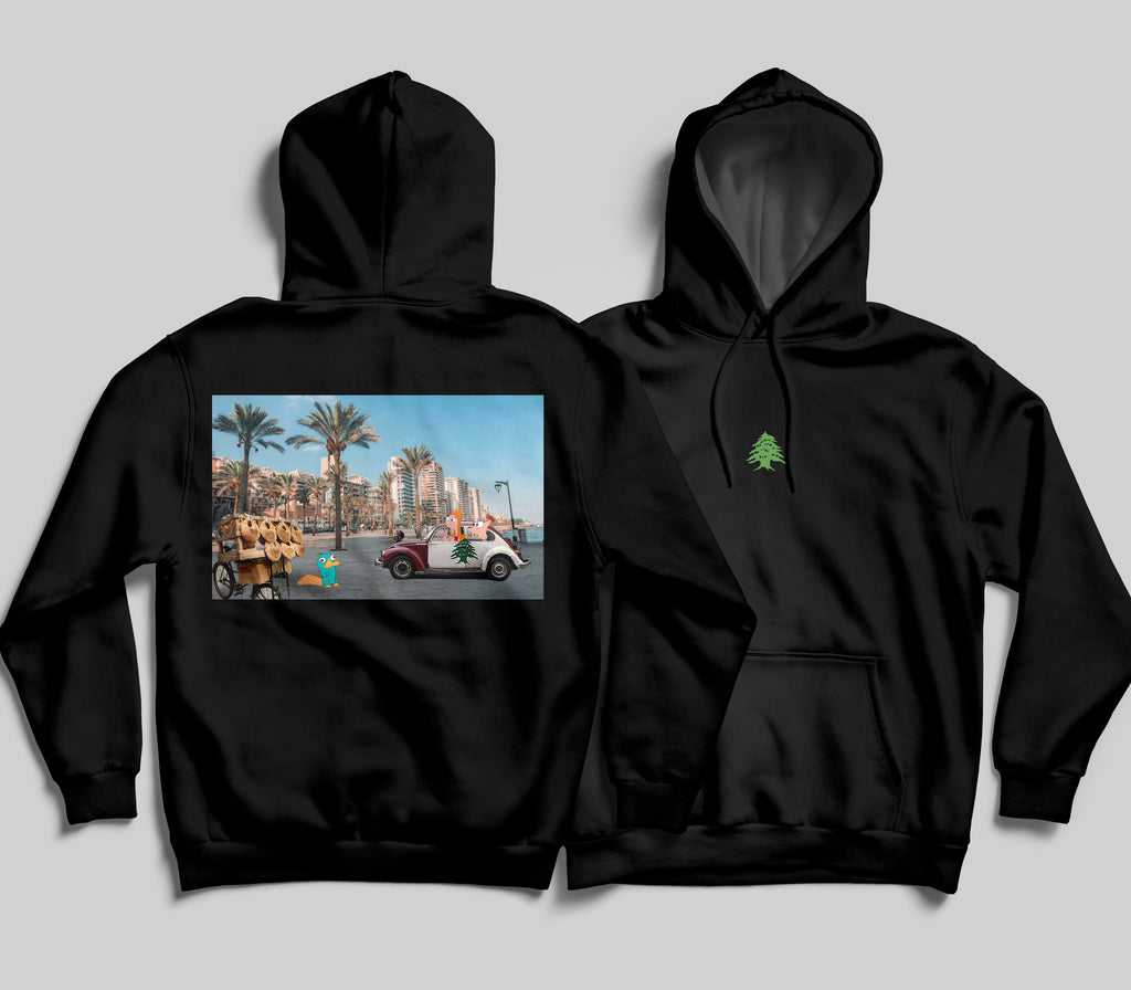 Phineas & Ferb X Raouche Hoodie