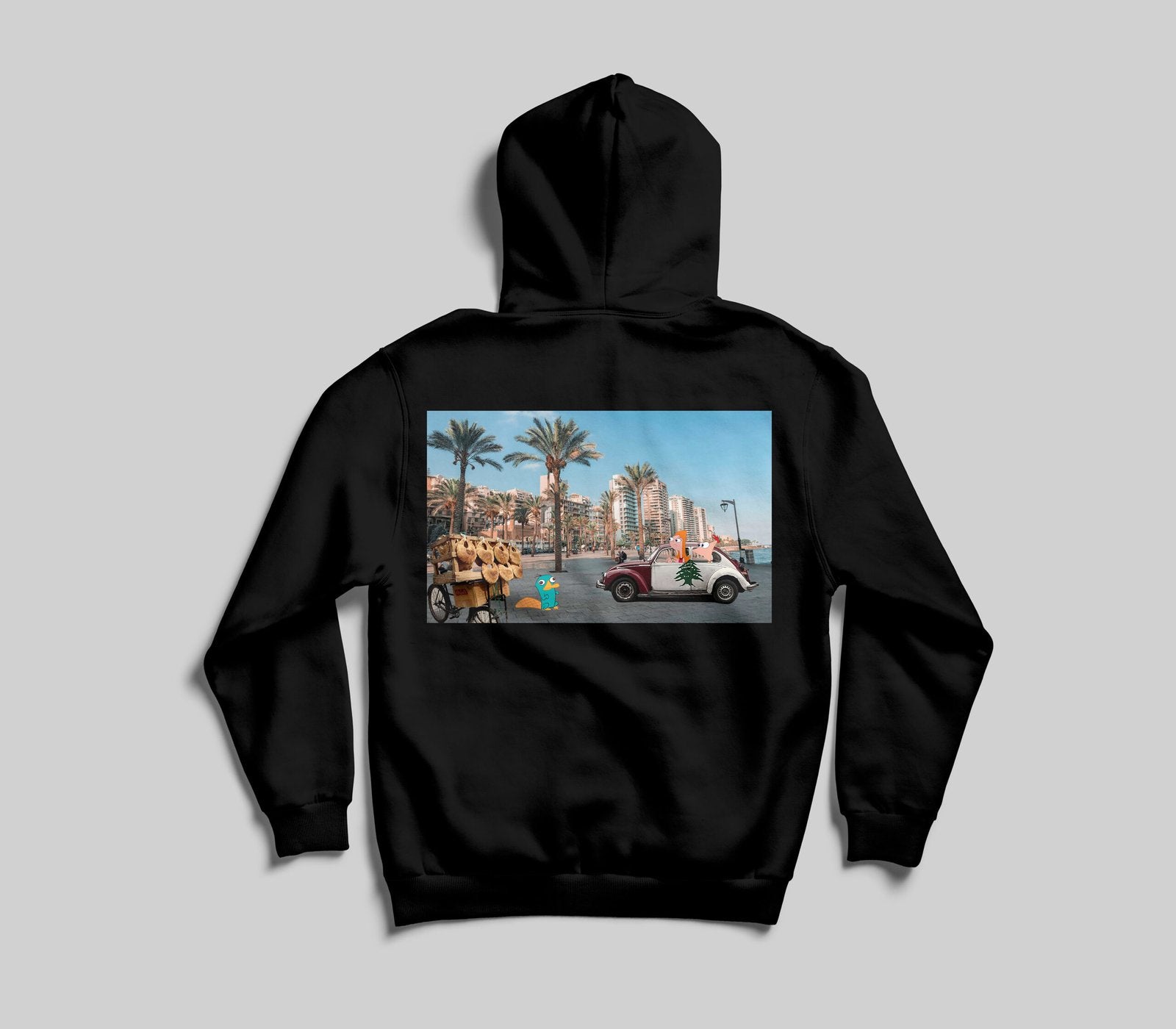 Phineas & Ferb X Raouche Hoodie